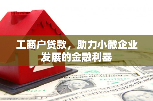 玛家工商户贷款，助力小微企业发展的金融利器