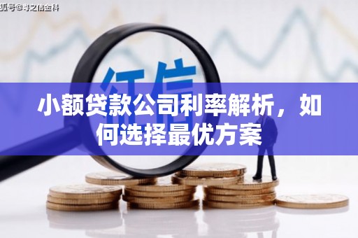 玛家小额贷款公司利率解析，如何选择最优方案