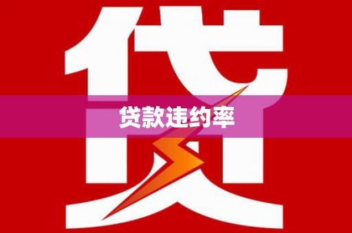 玛家贷款违约率