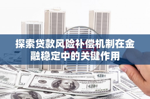 玛家探索贷款风险补偿机制在金融稳定中的关键作用