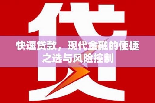 玛家快速贷款，现代金融的便捷之选与风险控制