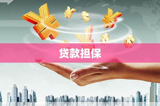 玛家贷款担保