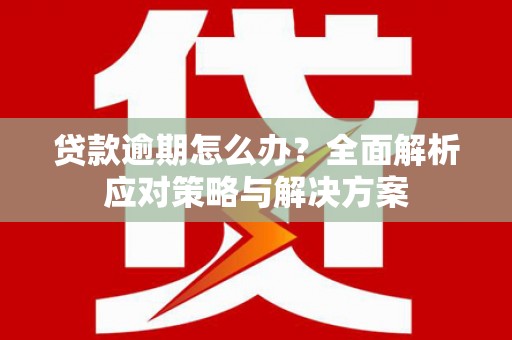 玛家贷款逾期怎么办？全面解析应对策略与解决方案