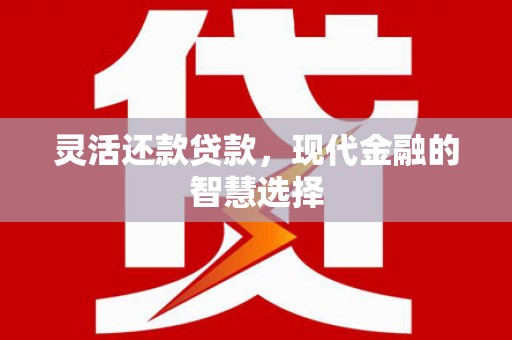 玛家灵活还款贷款，现代金融的智慧选择