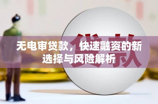 玛家无电审贷款，快速融资的新选择与风险解析