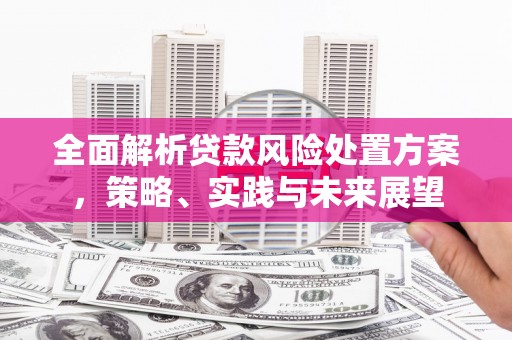 玛家全面解析贷款风险处置方案，策略、实践与未来展望