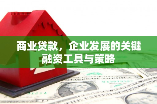 玛家商业贷款，企业发展的关键融资工具与策略