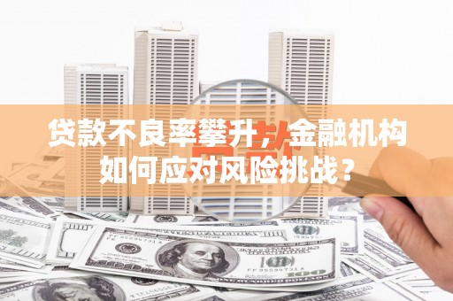 玛家贷款不良率攀升，金融机构如何应对风险挑战？