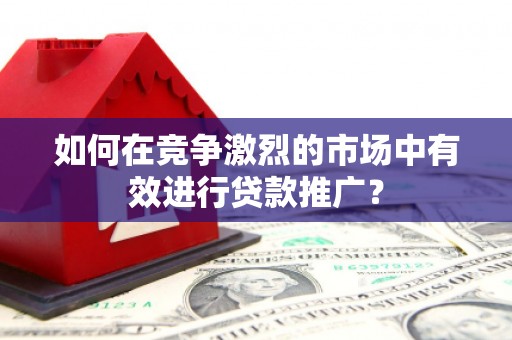 玛家如何在竞争激烈的市场中有效进行贷款推广？