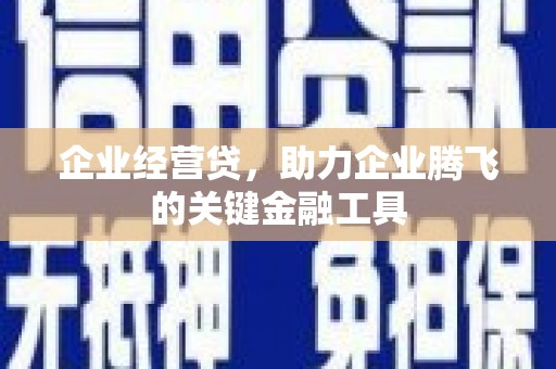 玛家企业经营贷，助力企业腾飞的关键金融工具