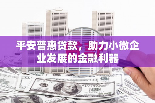 玛家平安普惠贷款，助力小微企业发展的金融利器