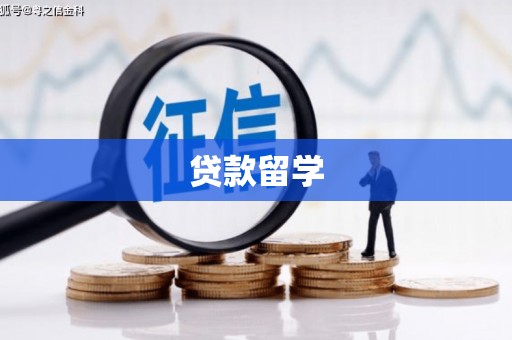 玛家贷款留学
