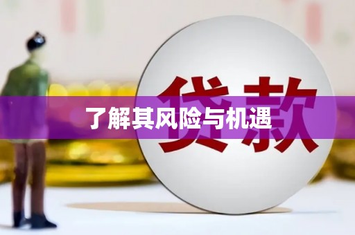 玛家了解其风险与机遇