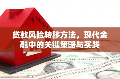 玛家贷款风险转移方法，现代金融中的关键策略与实践