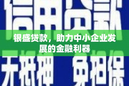 玛家银盛贷款，助力中小企业发展的金融利器
