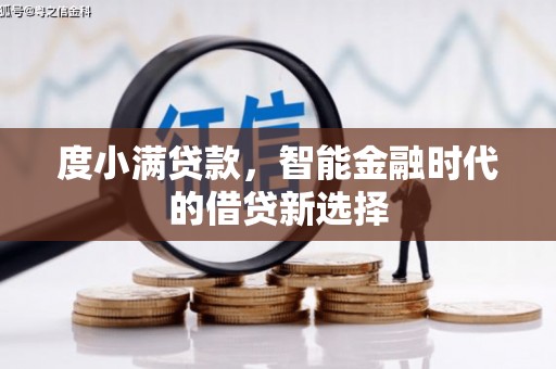 玛家度小满贷款，智能金融时代的借贷新选择