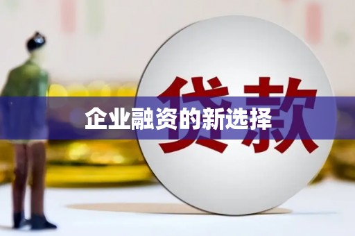 玛家企业融资的新选择