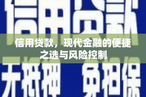 玛家信用贷款，现代金融的便捷之选与风险控制