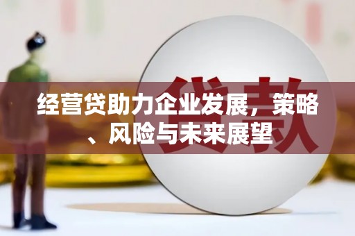 玛家经营贷助力企业发展，策略、风险与未来展望