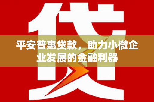 玛家平安普惠贷款，助力小微企业发展的金融利器