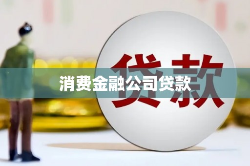 玛家消费金融公司贷款