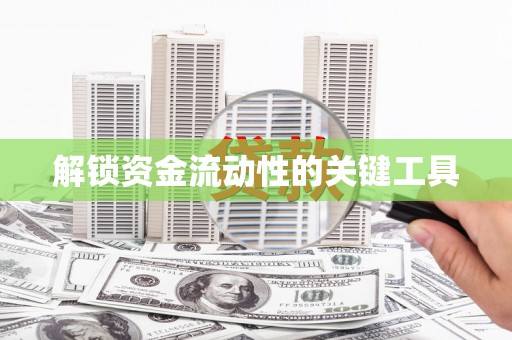 玛家解锁资金流动性的关键工具