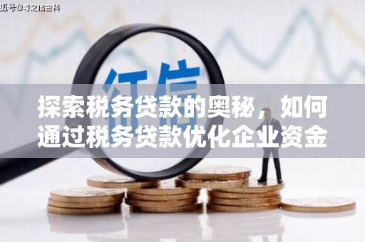 玛家探索税务贷款的奥秘，如何通过税务贷款优化企业资金流