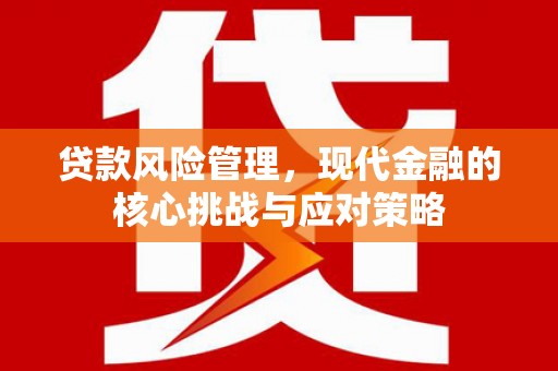 玛家贷款风险管理，现代金融的核心挑战与应对策略