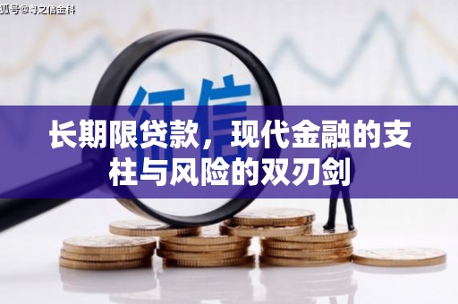 玛家长期限贷款，现代金融的支柱与风险的双刃剑