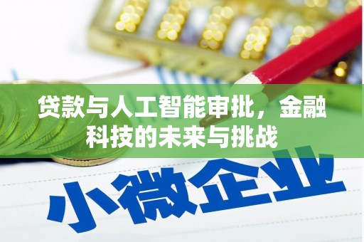 玛家贷款与人工智能审批，金融科技的未来与挑战