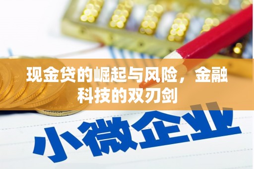 玛家现金贷的崛起与风险，金融科技的双刃剑
