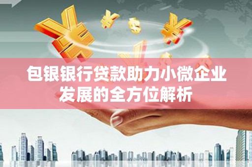 玛家包银银行贷款助力小微企业发展的全方位解析 玛家包银银行贷款助力小微企业发展的全方位解析