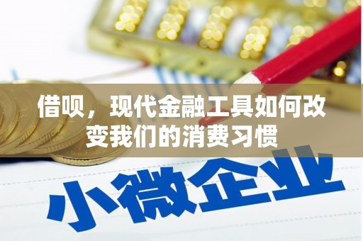 玛家借呗，现代金融工具如何改变我们的消费习惯