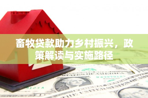 玛家畜牧贷款助力乡村振兴，政策解读与实施路径