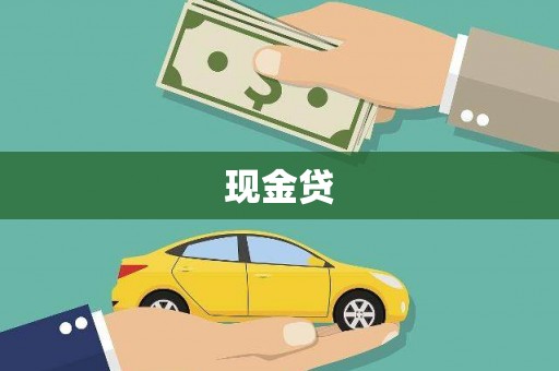 玛家现金贷