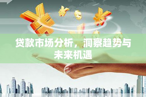 玛家贷款市场分析，洞察趋势与未来机遇