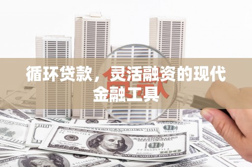 玛家循环贷款，灵活融资的现代金融工具