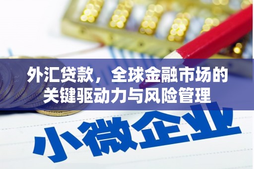 玛家外汇贷款，全球金融市场的关键驱动力与风险管理
