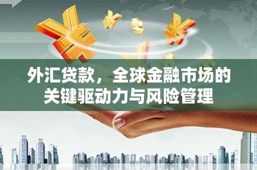 玛家外汇贷款，全球金融市场的关键驱动力与风险管理