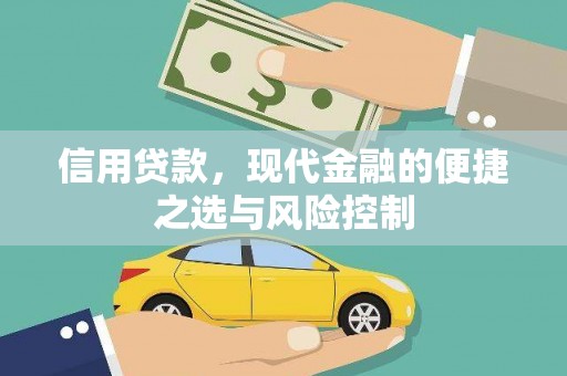 玛家信用贷款，现代金融的便捷之选与风险控制
