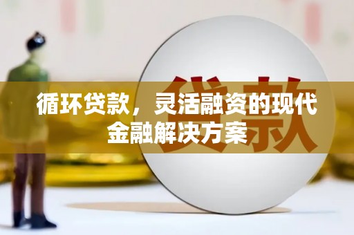 玛家循环贷款，灵活融资的现代金融解决方案