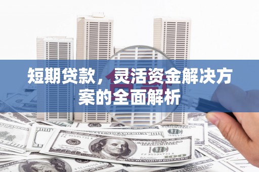 玛家短期贷款，灵活资金解决方案的全面解析