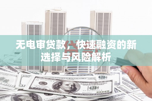 玛家无电审贷款，快速融资的新选择与风险解析