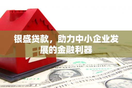 玛家银盛贷款，助力中小企业发展的金融利器