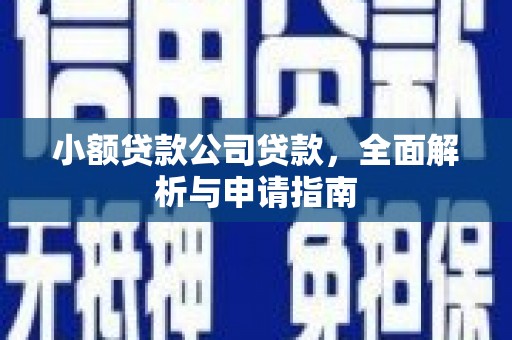 玛家小额贷款公司贷款，全面解析与申请指南