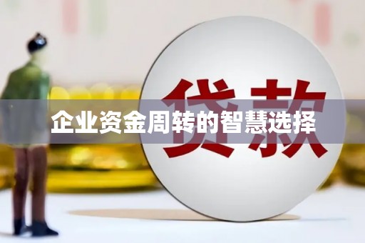 玛家企业资金周转的智慧选择
