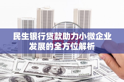 玛家民生银行贷款助力小微企业发展的全方位解析