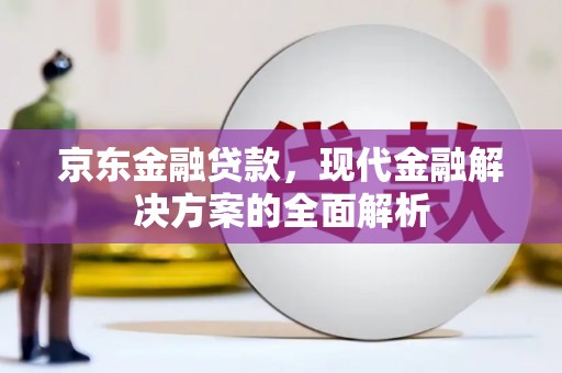 玛家京东金融贷款，现代金融解决方案的全面解析