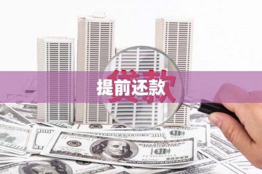 玛家提前还款