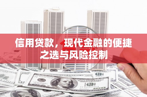 玛家信用贷款，现代金融的便捷之选与风险控制